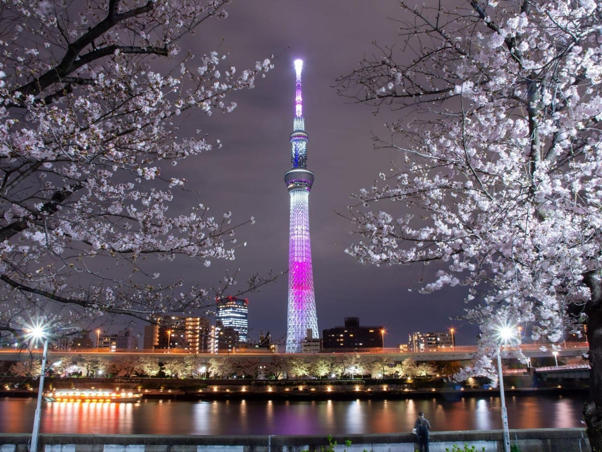 Rakuten Stay Tokyo Asakusa Twin Room Kültér fotó